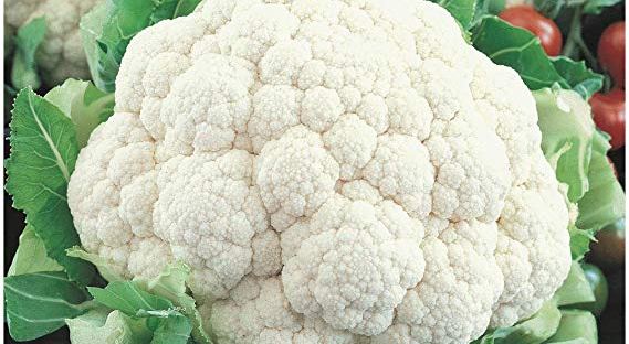 food vegetables dra martha castro noriega mexico usa
