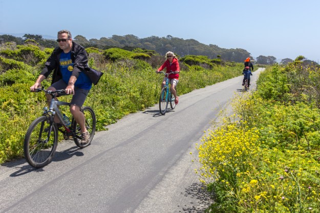 cycling flowers dra martha castro tijuana mexico california america usa
