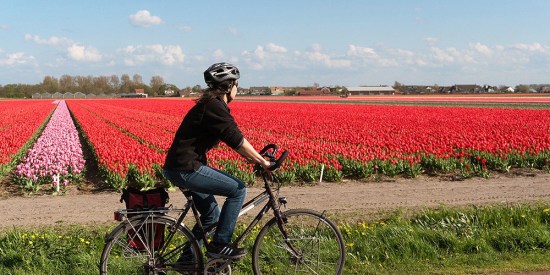 cycling flowers dra martha castro tijuana mexico california america usa