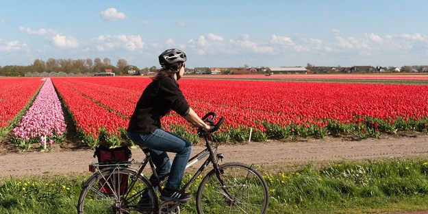cycling flowers dra martha castro tijuana mexico california america usa