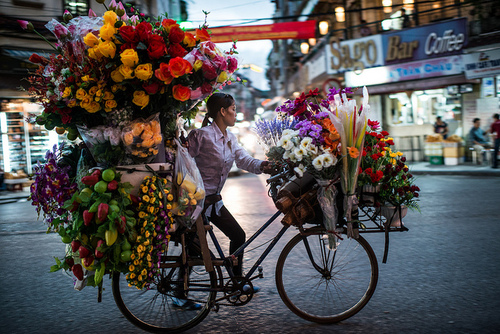 cycling flowers dra martha castro tijuana mexico california america usa