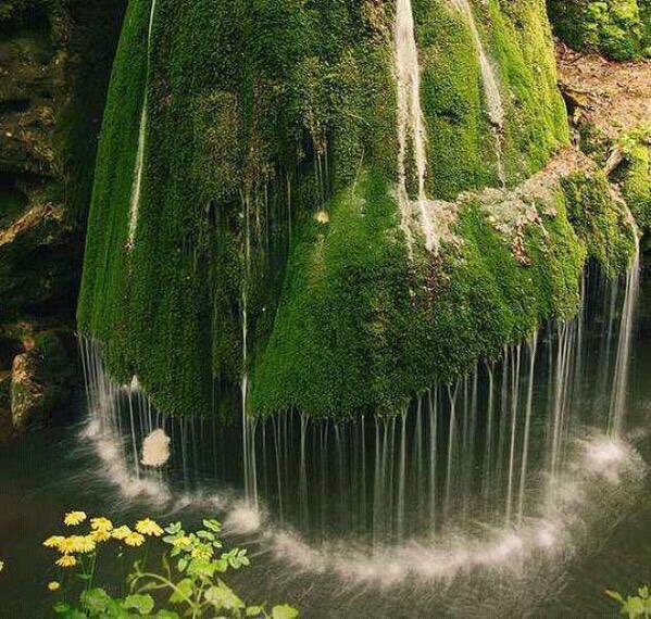 happy tuesday dra martha castro tijuana mexico california america