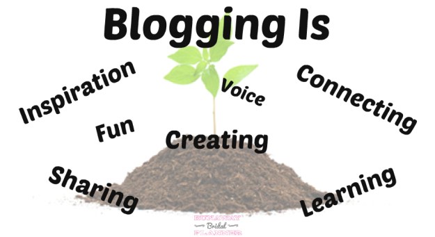 blogging photograph images writing dra martha castro noriega tijuana mexico usa california