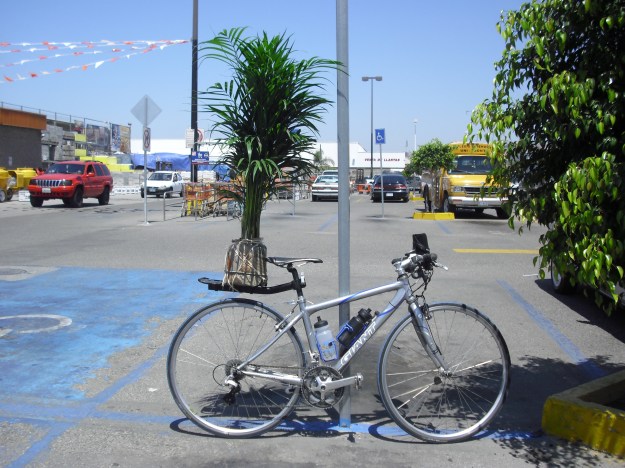 cycling bicycling nature motivation inspiration dra martha castro noriega mexico tijuana california usa
