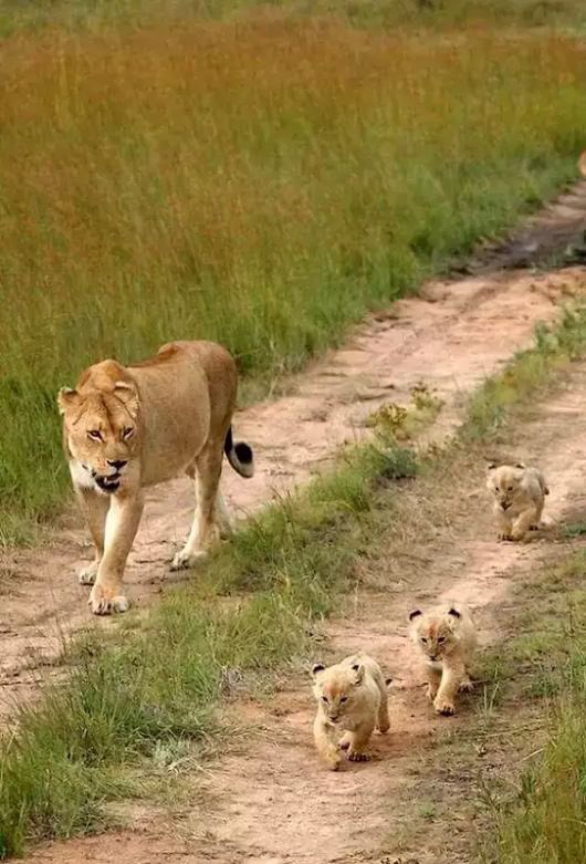 Mother Nature in Australia