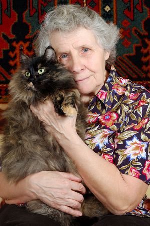 cats kitties pets animals dr martha castro mexico tijuana california