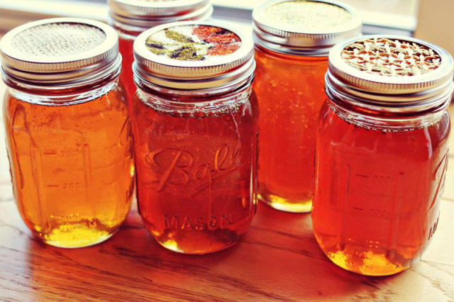 nature bees april food honey dra martha a castro noriega tijuana mexico california usa