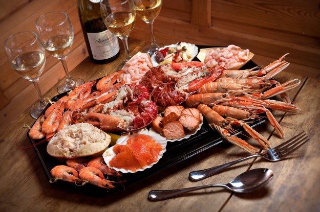 yummy food cooking dra martha castro noriega tijuana https://drmarthacastrodoctor.com/
