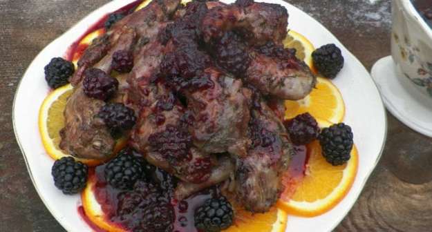 food-cooking-dra-martha-castro