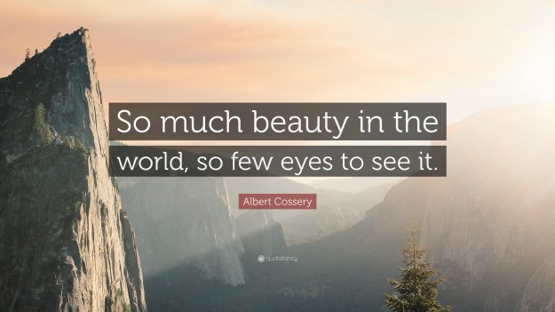 beauty motivation inspiration quotes  dra martha castro tijuana