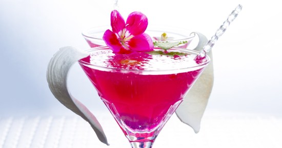 exotic drinks dra martha castro noriega tijuana california america