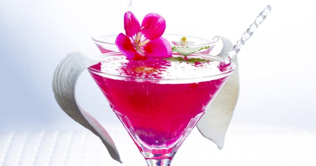 exotic drinks dra martha castro noriega tijuana california america