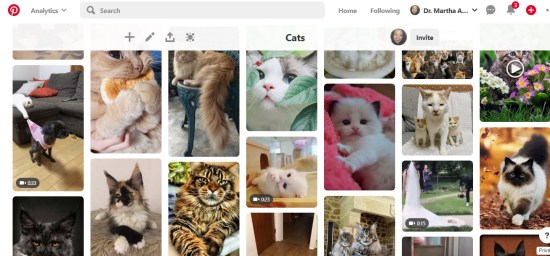 pinterest digital dra martha castro noriega tijuana