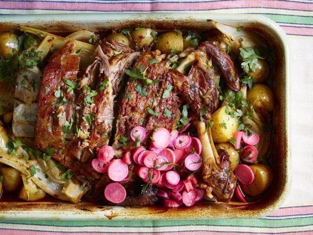 lamb delicious dra martha castro noriega tijuana