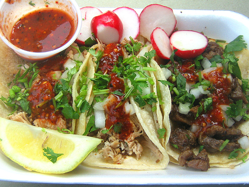 taco dra martha castro noriega tijuana mexico baja california america