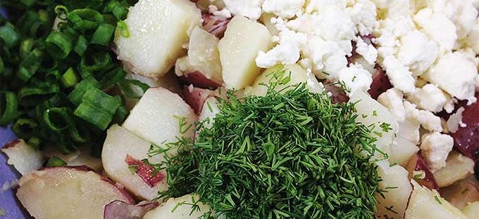 potato salad dra martha castro noriega tijuana mexico