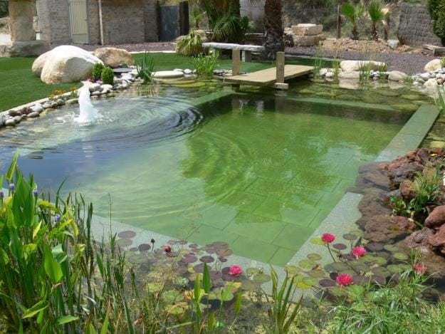 swimming pools having fun family dra martha castro noriega tijuana mexico california usa