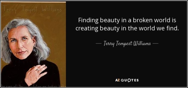 beauty motivation inspiration quotes  dra martha castro tijuana
