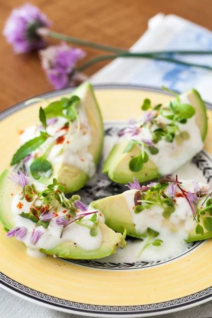 food eating dr martha castro noriega mexico