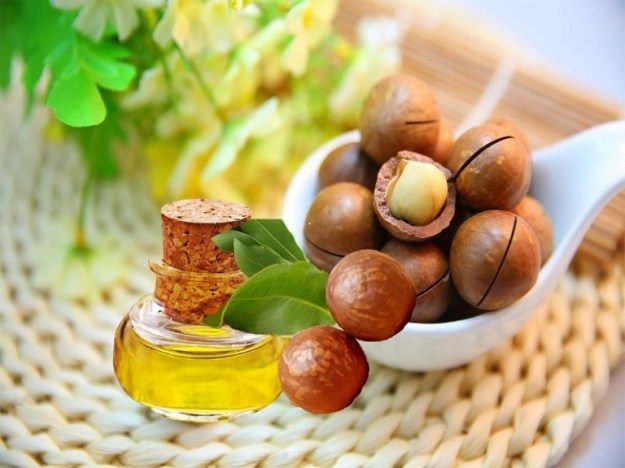 macadamia nut oil beauty dra martha castro noriega mexico