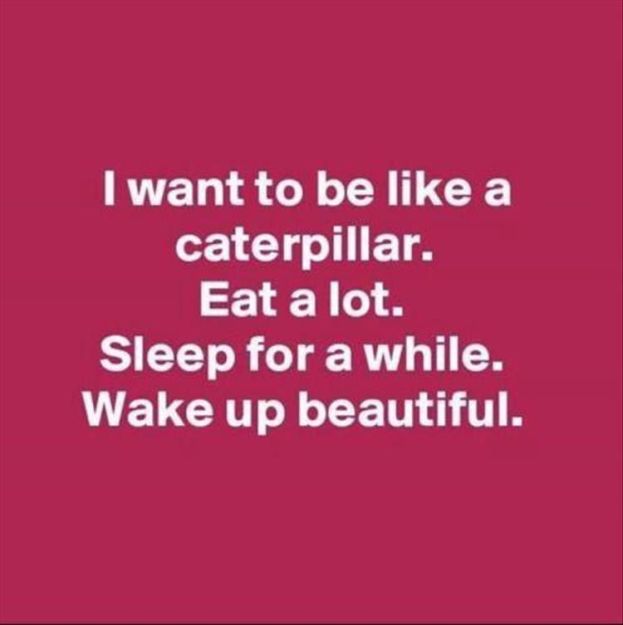 funny quotes