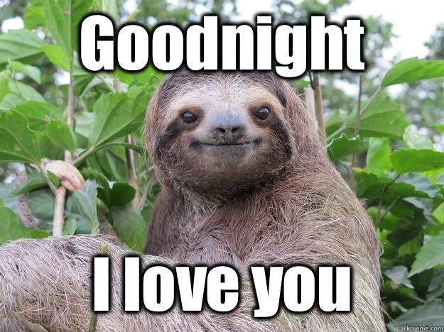 good night cats humor dra martha castro noriega mexico tijuana