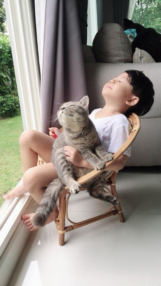 caturday cats animal love funny dra martha castro noriega tijuana baja california los angeles america usa