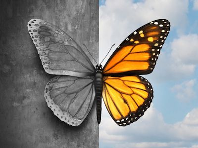 mental health bipolar dra martha castro tijuana mexico california america