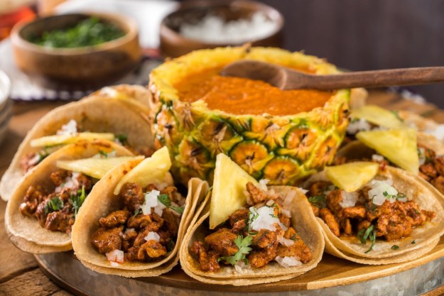 taco dra martha castro noriega tijuana mexico baja california america