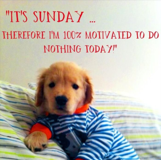 happy sunday dra martha castro noriega tijuana