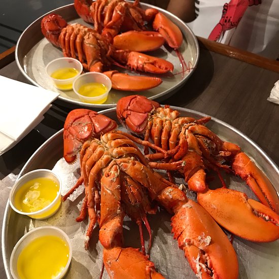 eat lobster dra martha castro tijuana mexico