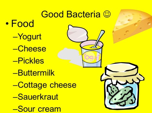 good bacteria dra martha castro noriega