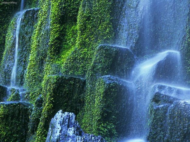 travel world waterfalls inspiration motivation dra martha castro noriega tijuana mexico