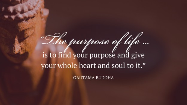 purpose life dra martha castro tijuana mexico california america