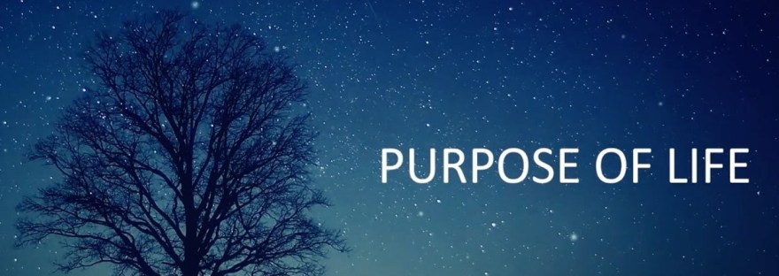 purpose life dra martha castro tijuana mexico california america