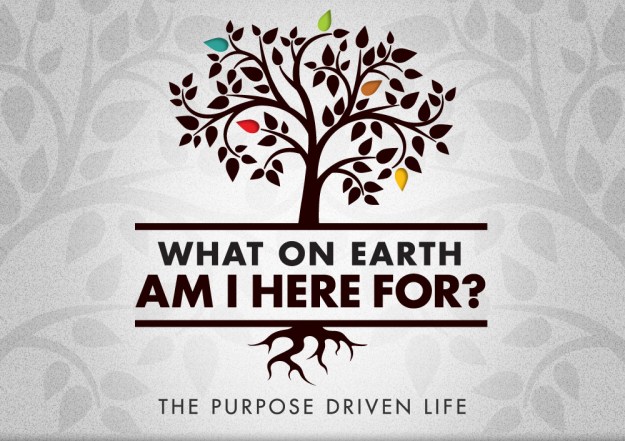 purpose life dra martha castro tijuana mexico california america