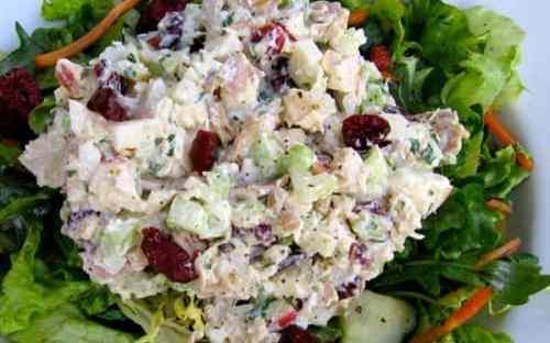 salad sunday dra martha castro tijuana mexico baja california usa