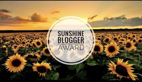sunshine blogger award dra martha castro tijuana baja california usa america
