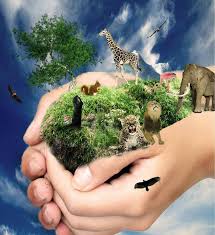 mother earth inspiration motivation dra martha castro noriega tijuana mexico