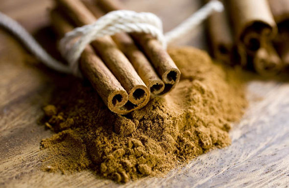 cinnamon dra martha castro noriega tijuana mexico