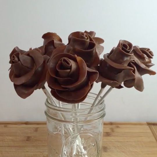 chocolate roses love dra martna castro noriega tijuana baja california