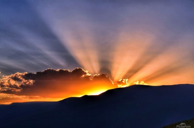 beautiful nature dra martha castro noriega tijuana baja california america usa