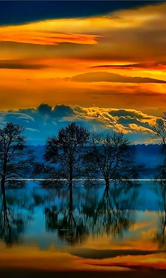 beauty nature inspiration dra martha castro tijuana https://drmarthacastrodoctor.com/