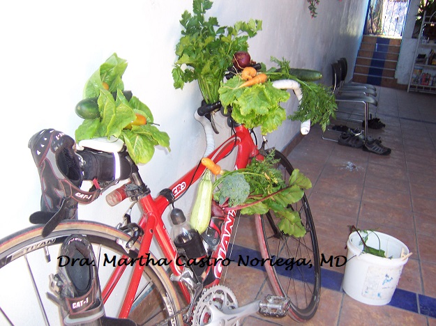vegetables sustainability dra martha castro noriega tijuana