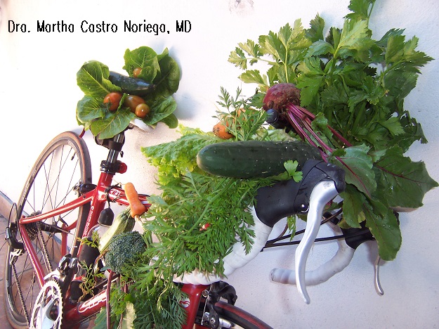 vegetables sustainability dra martha castro noriega tijuana