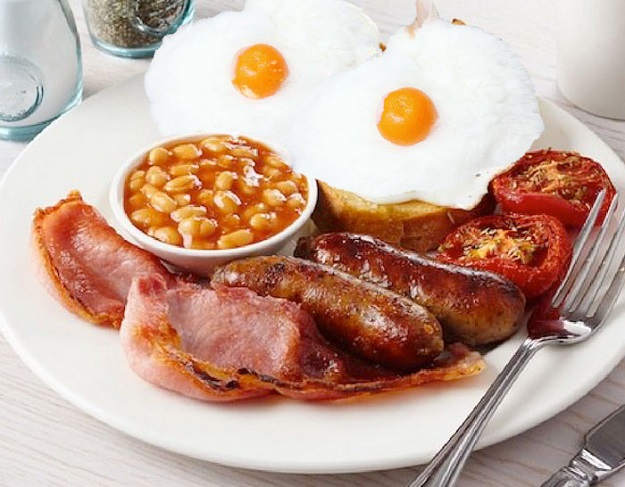 cats eggs food humor dra martha castro noriega