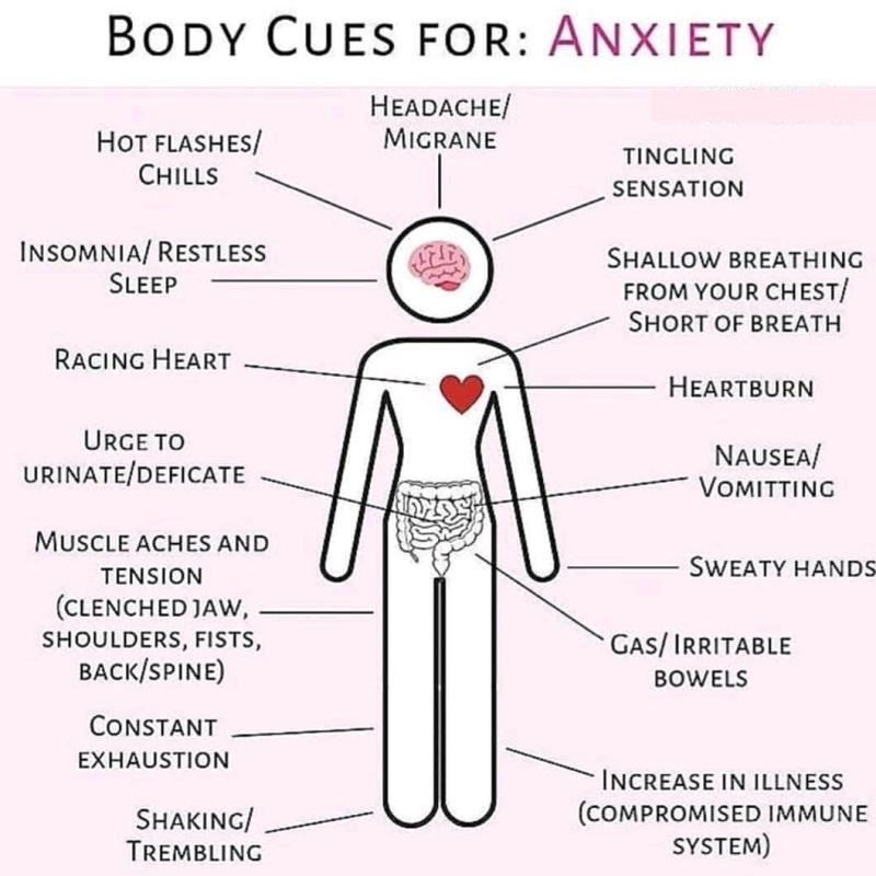 anxiety mental health problems by dra martha castro noriega mexico tijuana