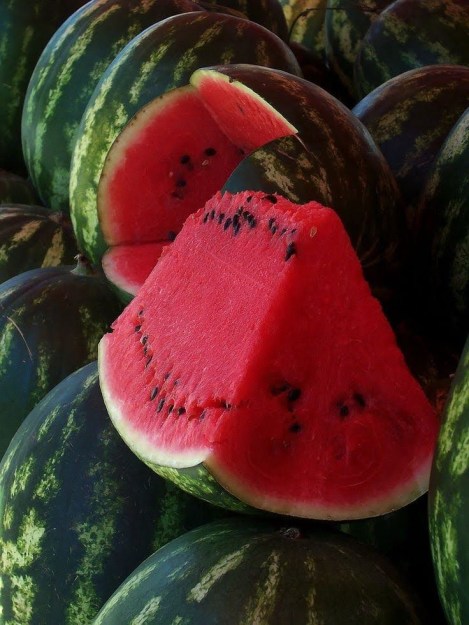 Fruit Vegetables Dra Martha Castr Mexico