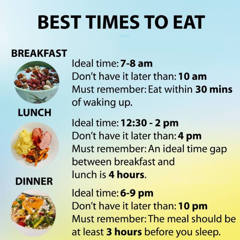 Food Motivation Health Dr Martha Castrp Mexico