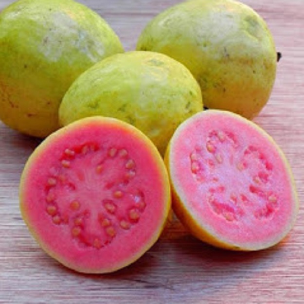 Fruit Vegetables Dra Martha Castr Mexico